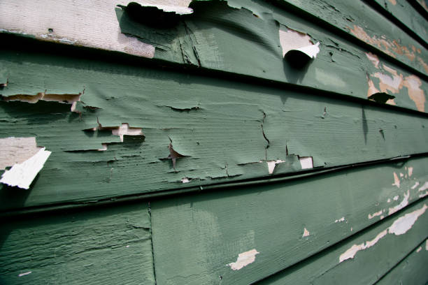 Reliable Austin, IN Junk Removal Solutions